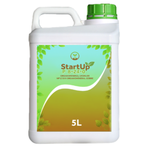 Start Up 5 L